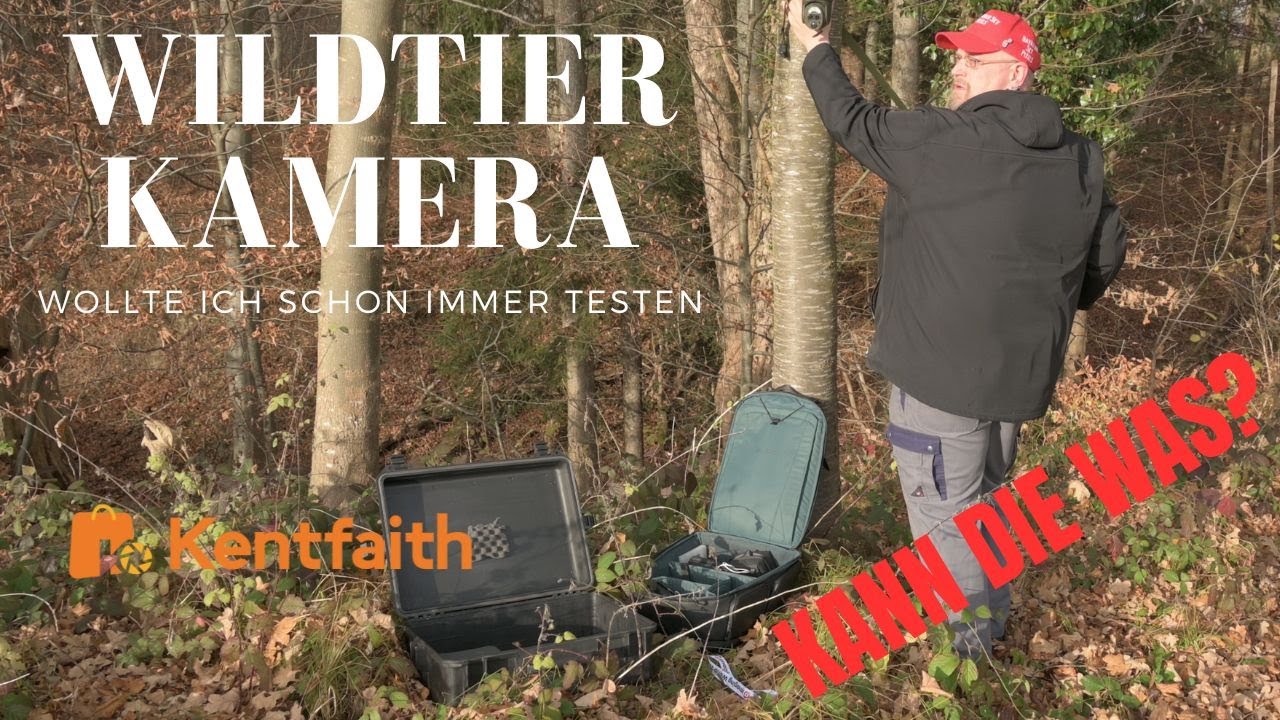 Wildtierkamera ►Test ►Blackfriday - die wollte ich schon immer mal testen #kentfaith #wildlife