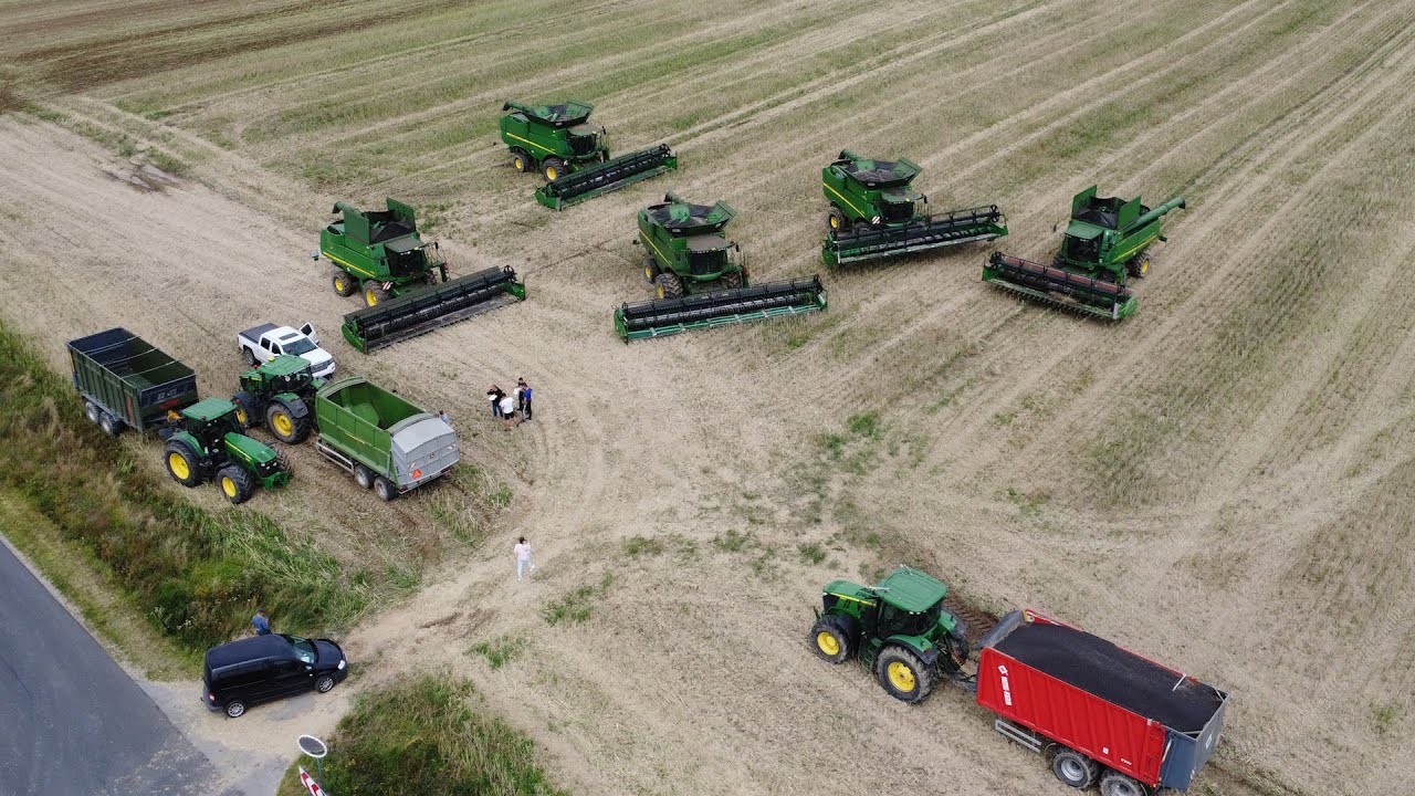 Rzepak na 6 kombajnów, GR Różańscy | Wielkie żniwa