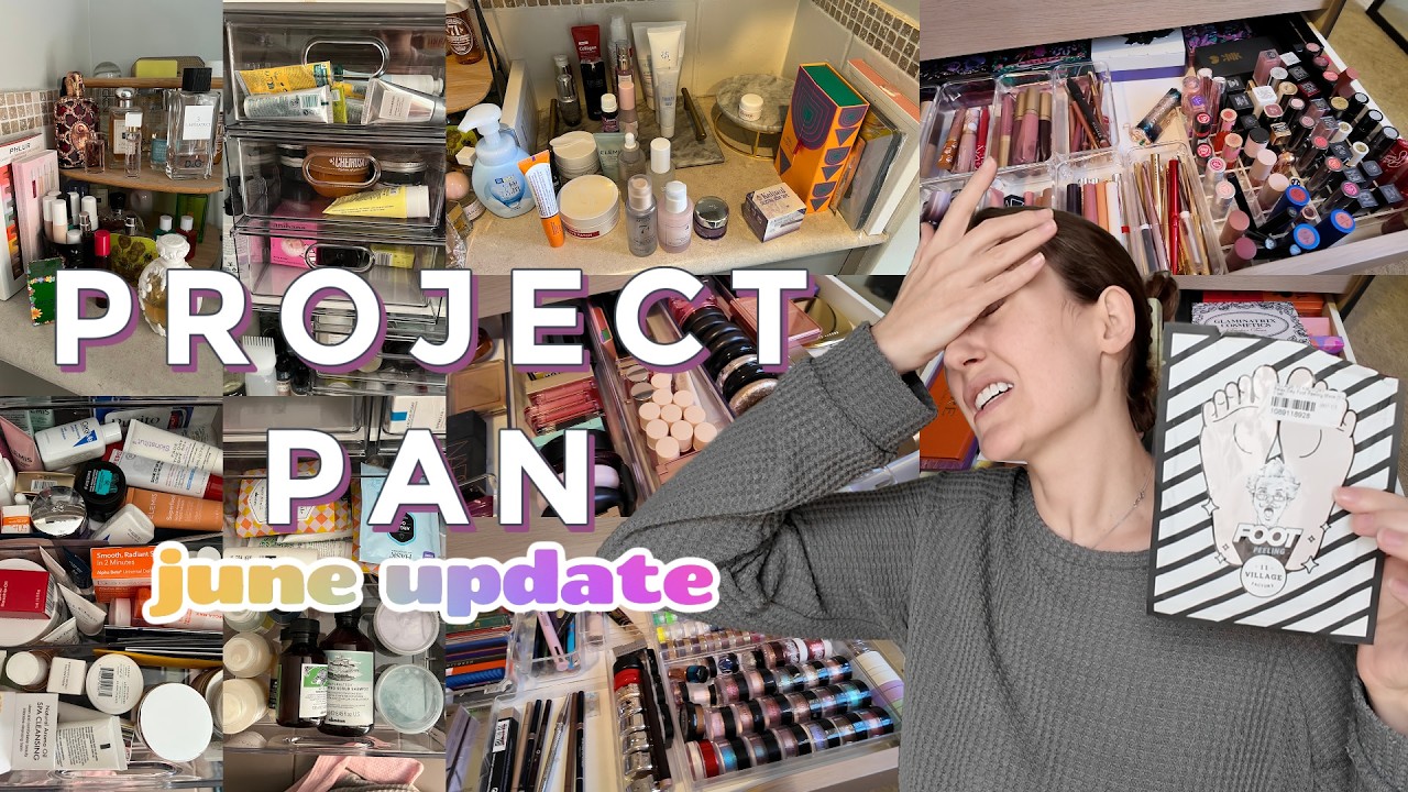 Project Pan 2026 | Июньское обновление
