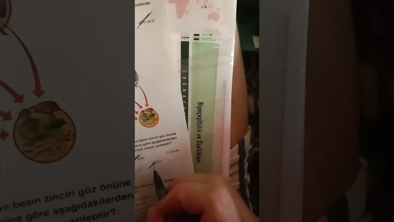 Ekosistem soru çözümü