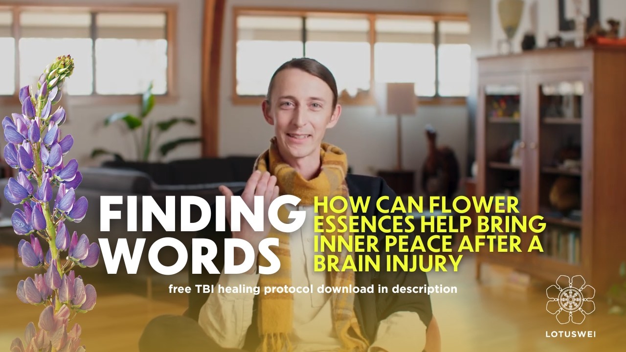 Traumatic Brain Injury & Flower Essences | LOTUSWEI
