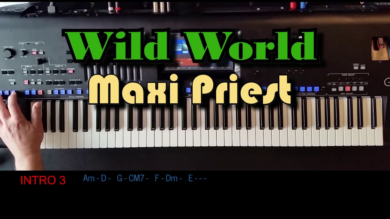 Wild World - Maxi Priest, Cover, eingespielt mit Style auf Yamaha Genos