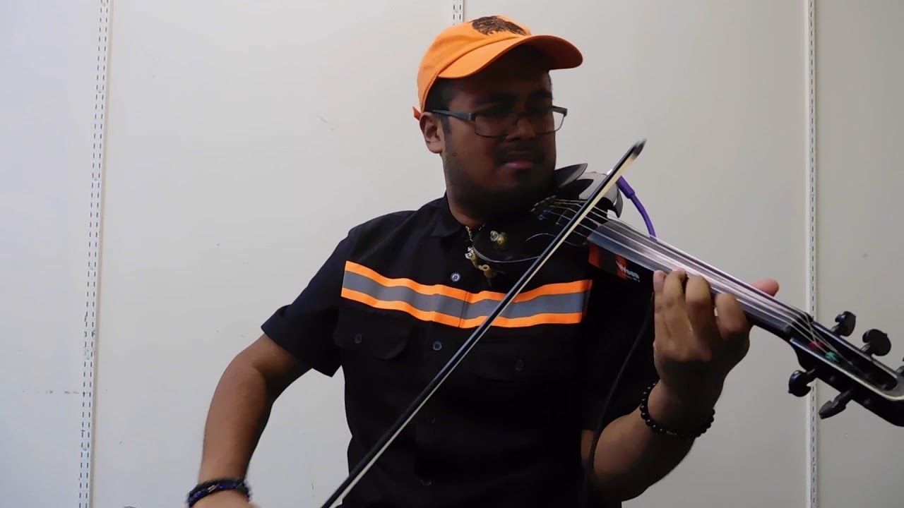 Lana Del Rey - Happiness is a butterfly | Violin Cover