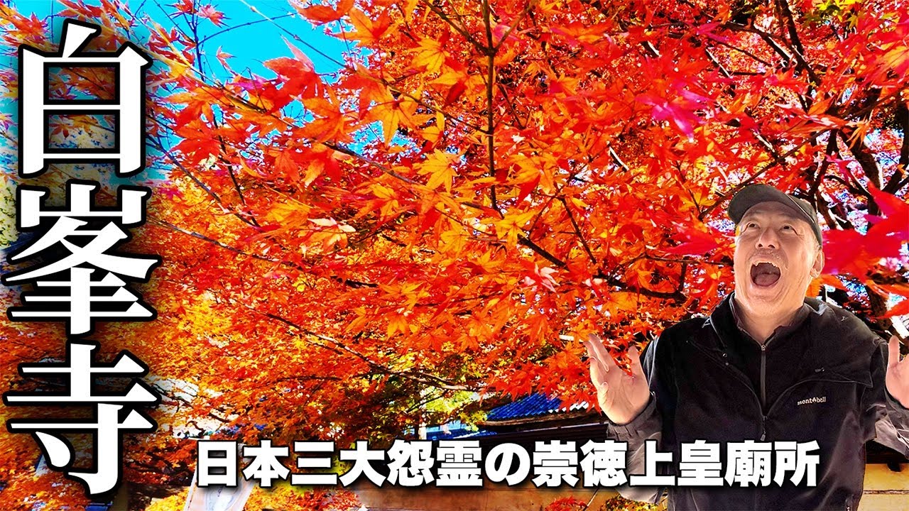 【逆打ち】日本三大怨霊・崇徳天皇を祀る白峯寺に参拝！五色台の古刹巡り【四国八十八ヶ所霊場】紅葉絶景！干支の守り本尊【旅行VLOG、レビュー】名物かまど総本店でのカフェタイムも紹介！