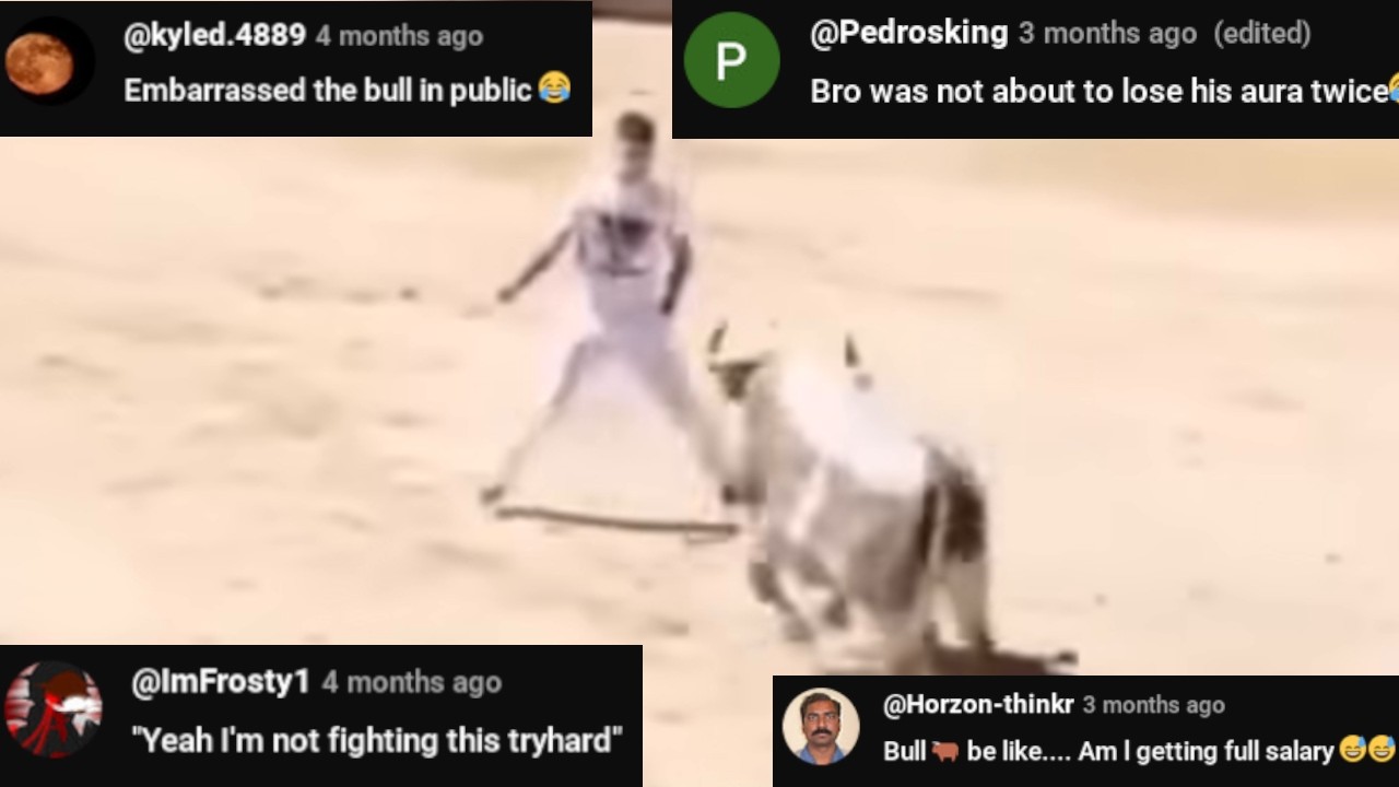 BULL was STUNNED - Chat Music