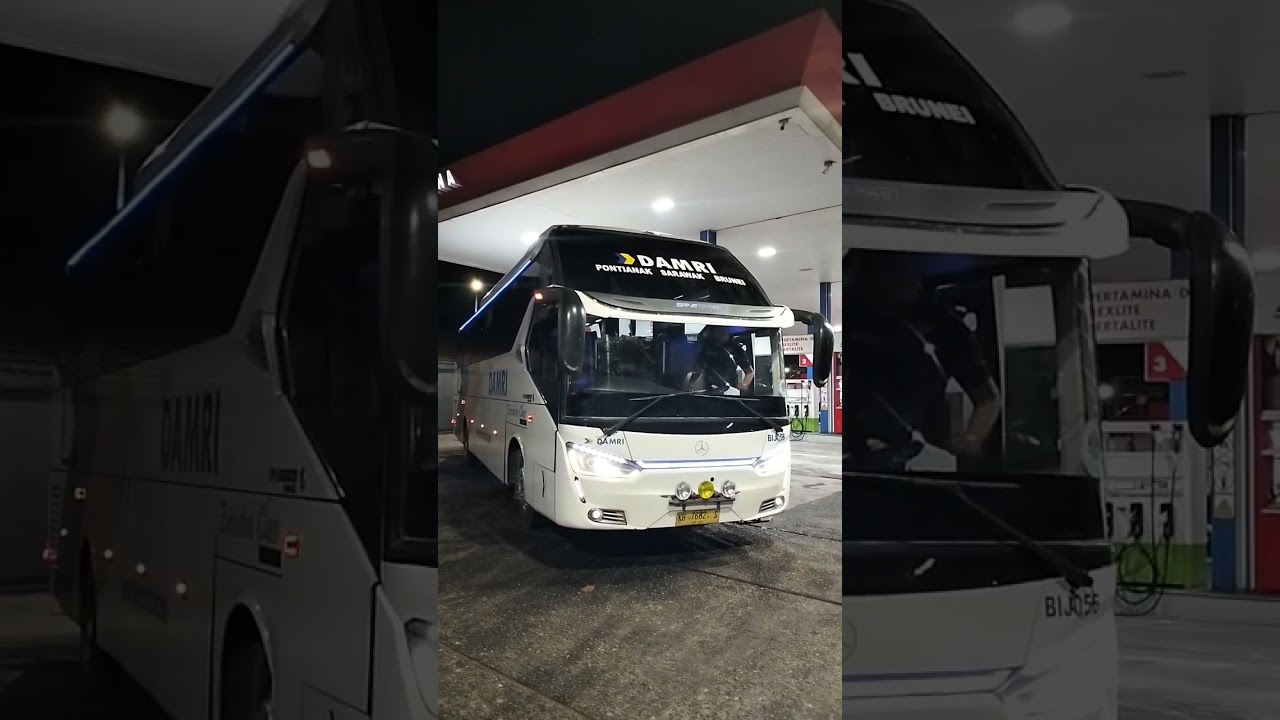 bus DAMRI rute Pontianak - Sarawak - Brunai @midiTVofficial #shortsvideo #shortsfeed #travel #bus