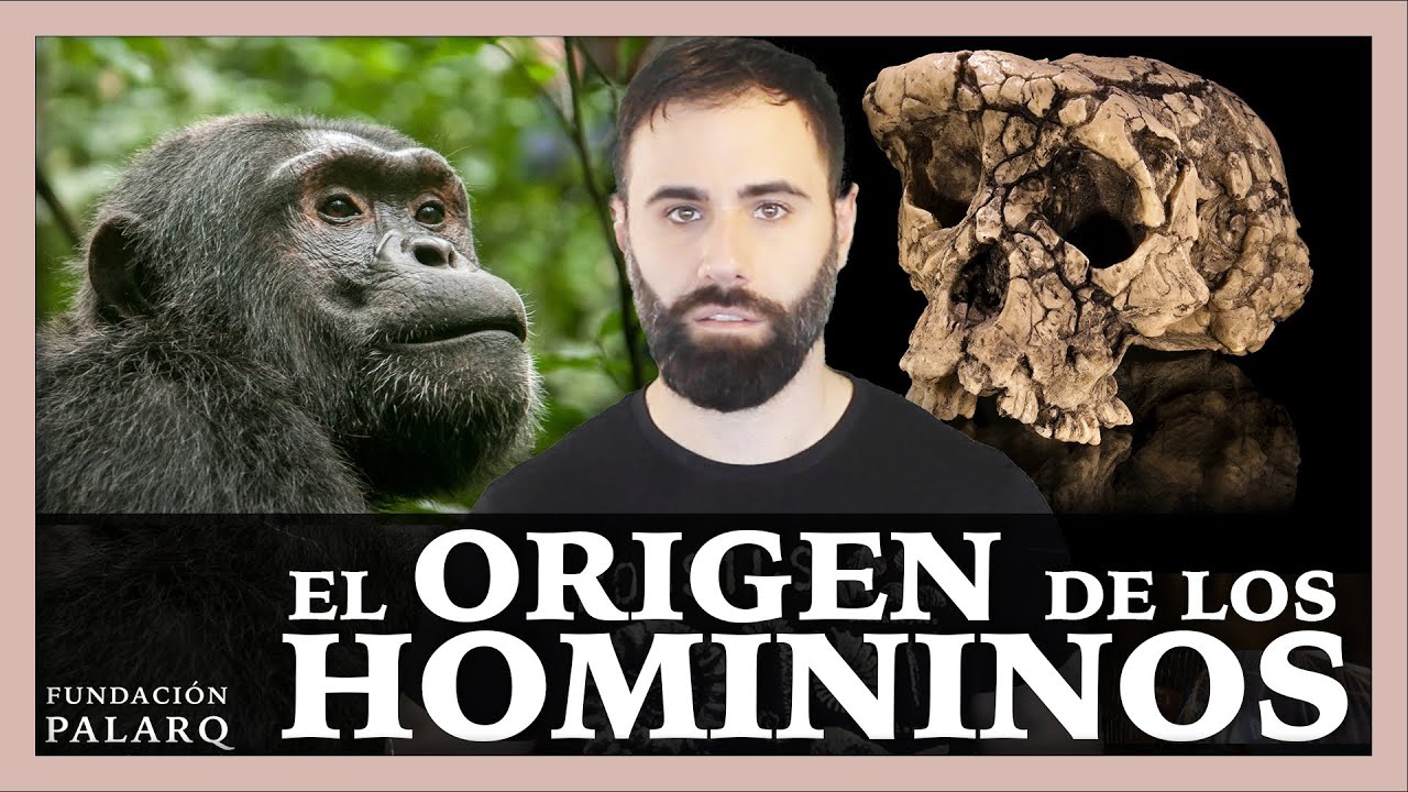 El Origen de los homininos | Los primeros representantes de nuestro linaje.
