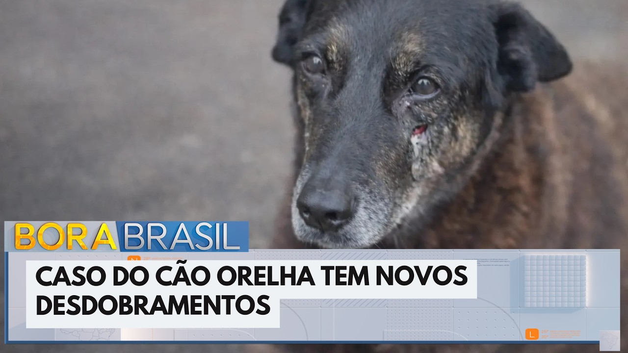 Cão Orelha: polícia pede apreensão de passaporte de adolescente acusado | Bora Brasil