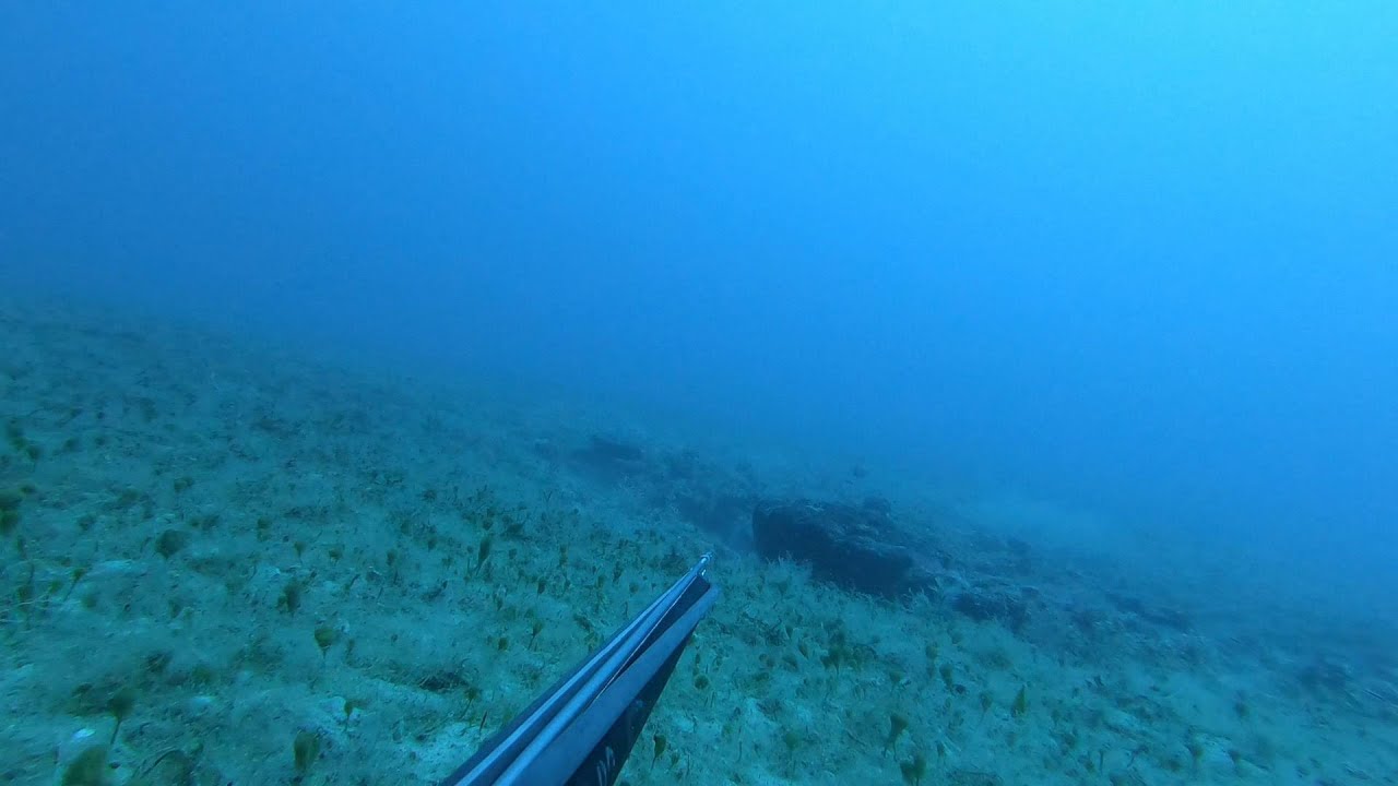 new rock - the result of discovering a new spearfishing spot with the sonar prt1