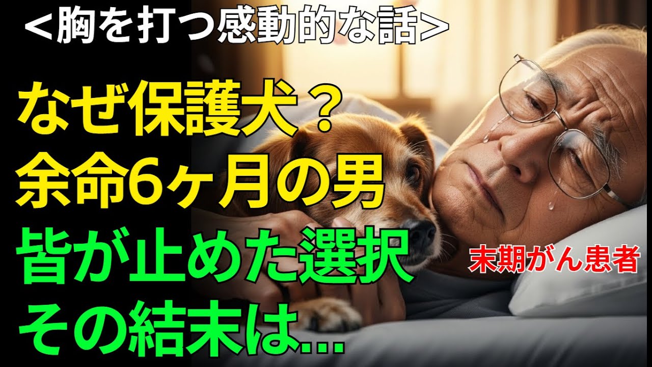 [感動する話] 医師に余命6ヶ月を告げられた日 男は一匹の保護犬に出会った。なぜ“誰も望まなかった保護犬”を選んだのか?