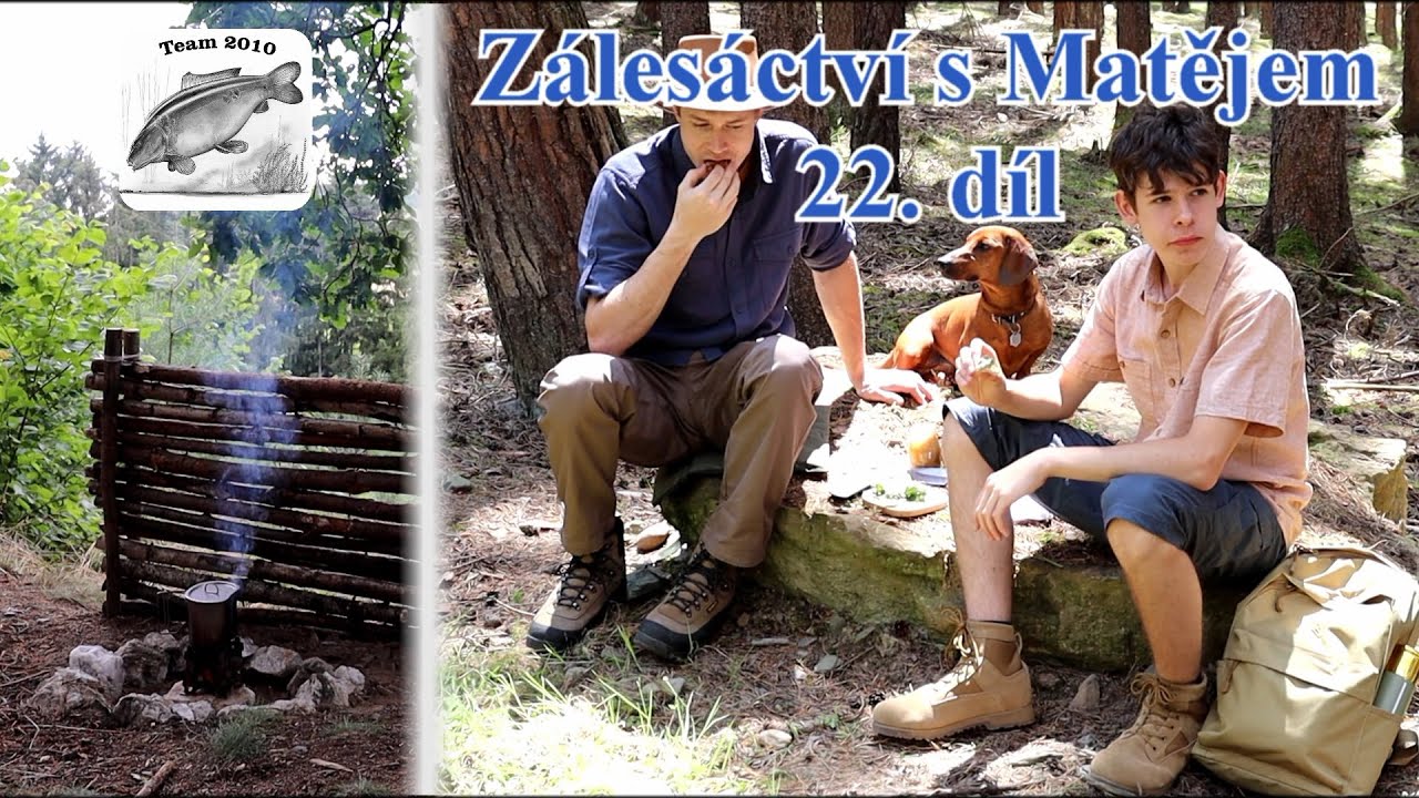 Zálesáctví s Matějem - Po stopách kůrovce
