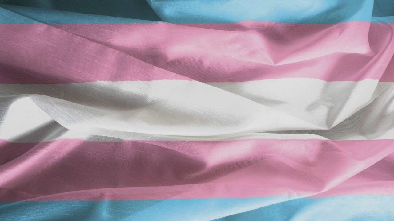 Marchers at International Women's Day event harassed by trans activists