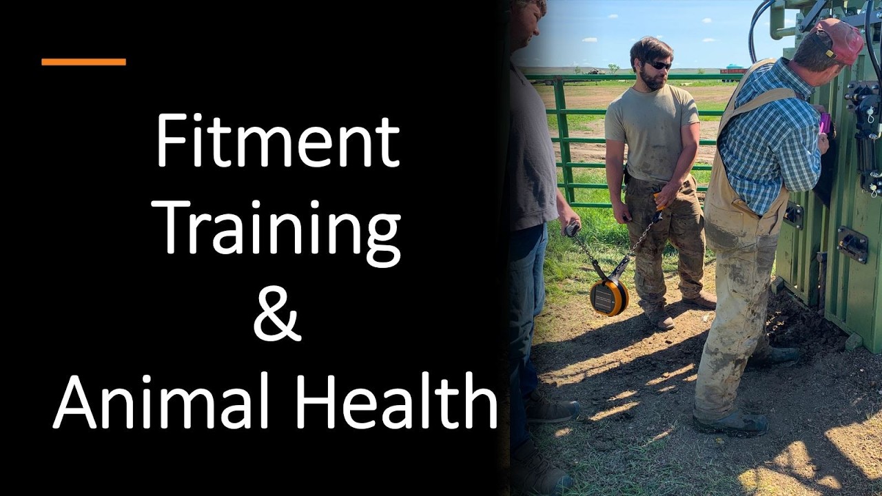 Virtual Fencing: Fitment, Training, & Animal Health