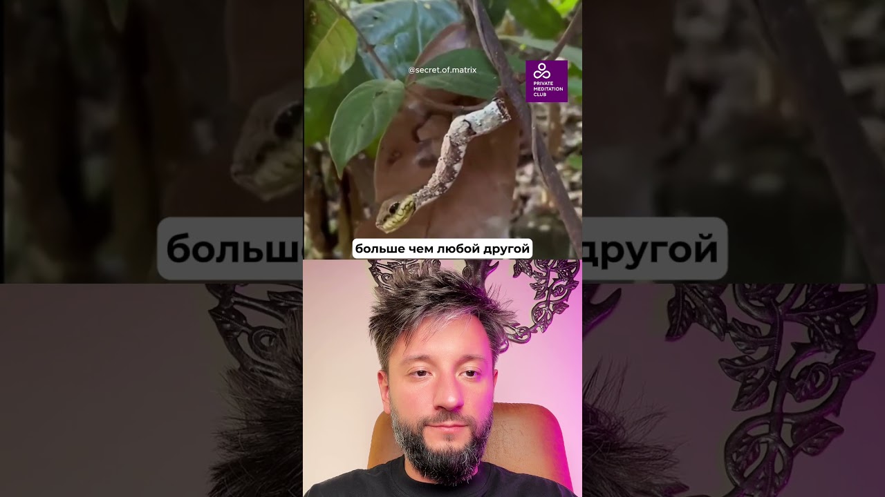 Шок! Пугающая эволюция! Как это возможно ⁉️ #наука #секретыматрицы #эзотерика #мотивация