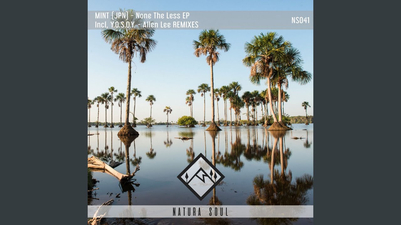 Digital Bug (Original Mix)