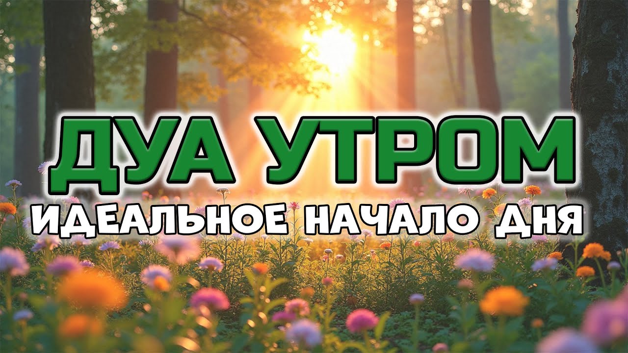 УТРО С АЛЛАХОМ 🤲 ЛУЧШЕЕ ДУА ДЛЯ ИДЕАЛЬНОГО НАЧАЛА ДНЯ! ☀️