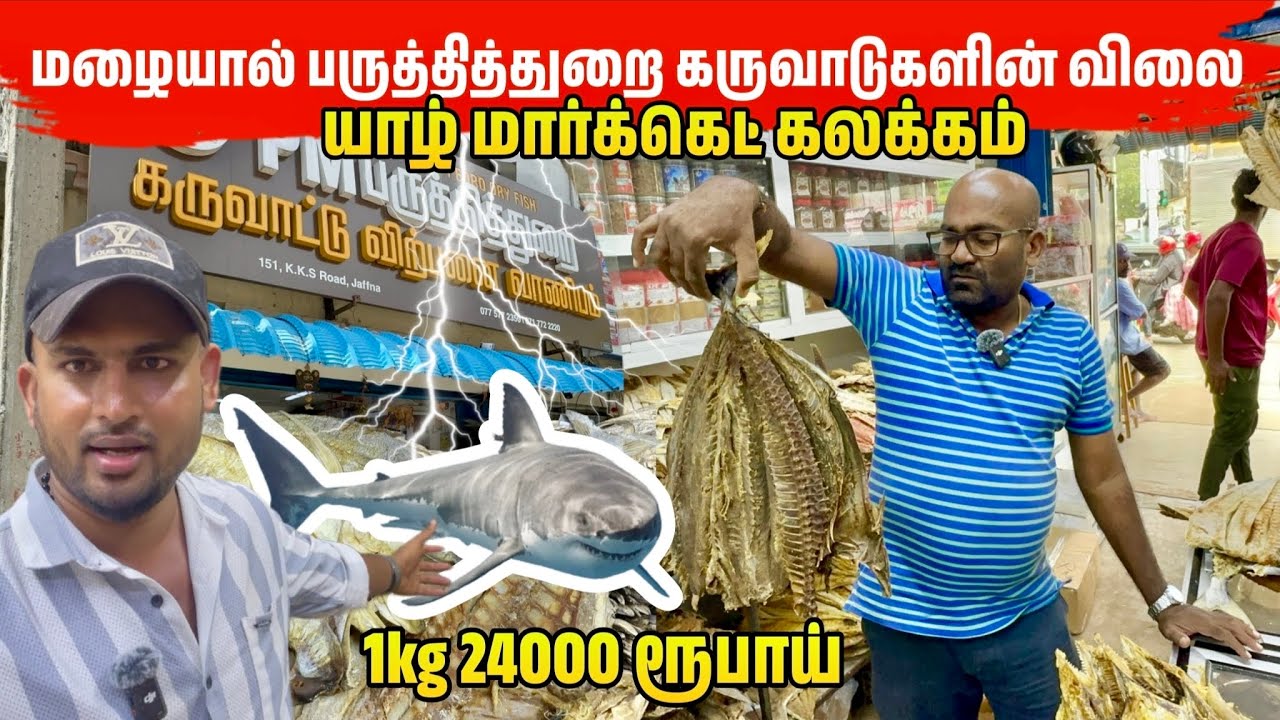 யாழ் கருவாடு புதிய விலை வெளிநாட்டவர் கவனத்திற்கு 