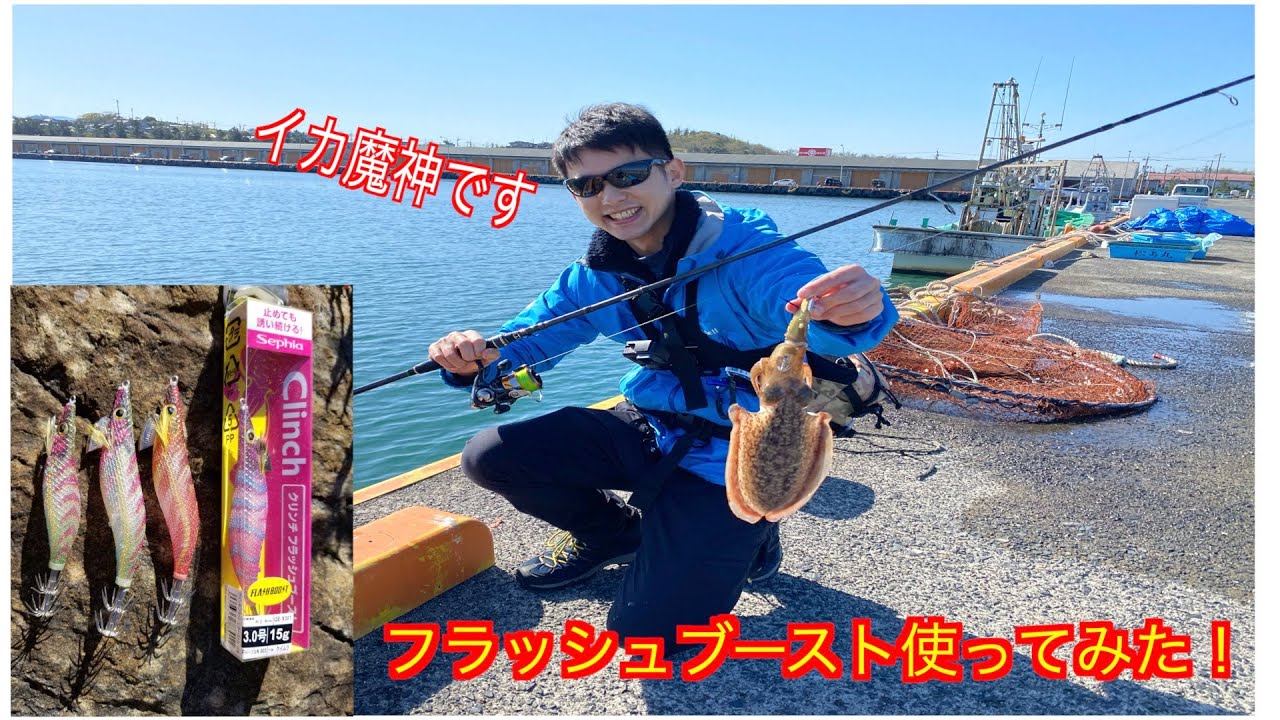 【鳥取県賀露港】春イカ釣り。驚愕！フラッシュブースト。