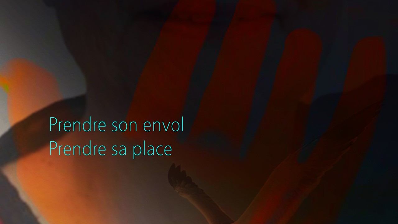 『Vidéo 7』Prendre son envol, prendre sa place 『Vidéo 7』