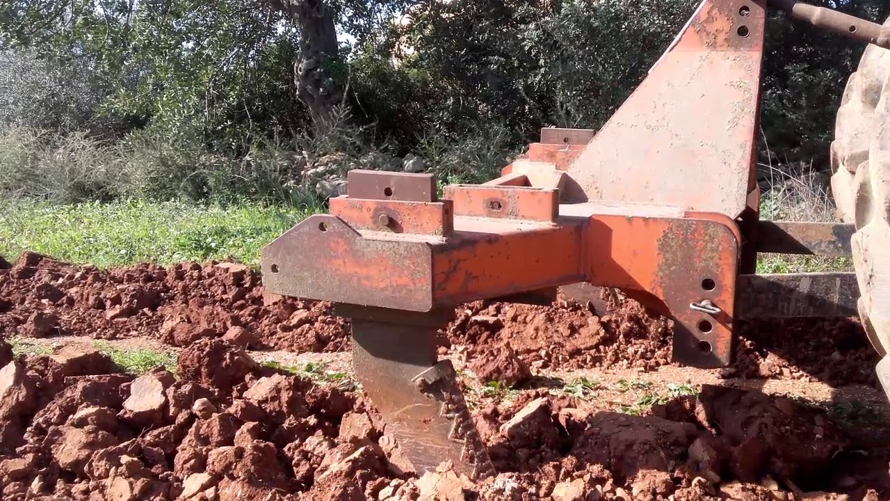Getting rid of an old road