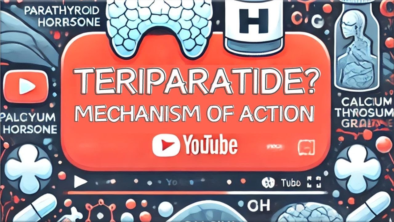 【Teriparatide】 PTH analog, Pharmacology: Forteo&reg;, Mechanism of Action Simply Explained
