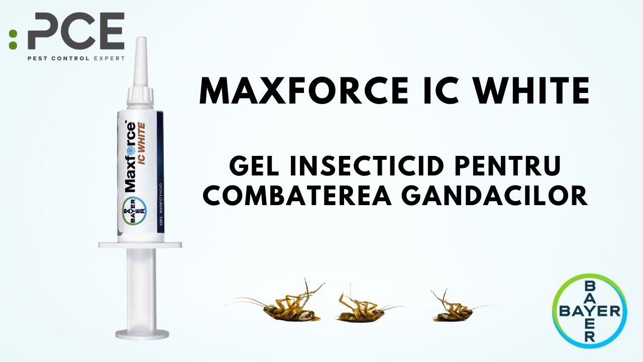 MaxForce IC Gel, Bayer, insecticid gel pentru gandaci de bucatarie, gandaci de canalizare