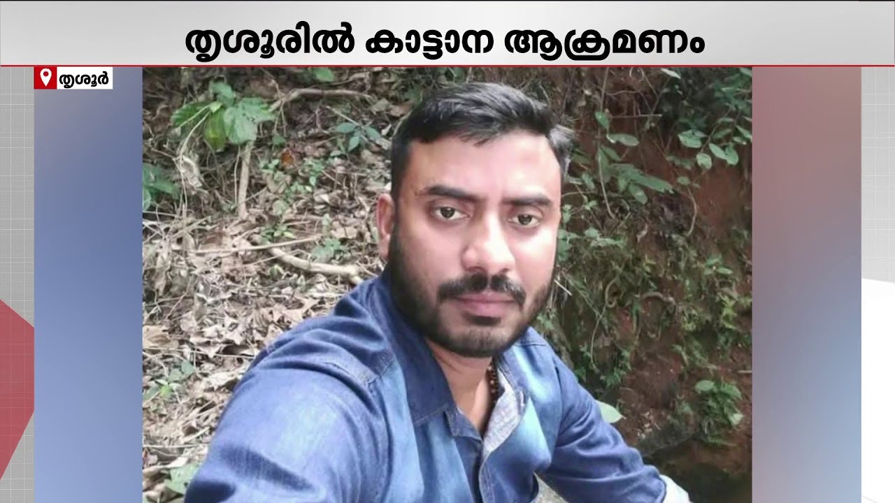 തൃശൂരിൽ കാട്ടാന ആക്രമണം; യുവാവിന് ദാരുണാന്ത്യം |Peechi Wild Elephant Attack