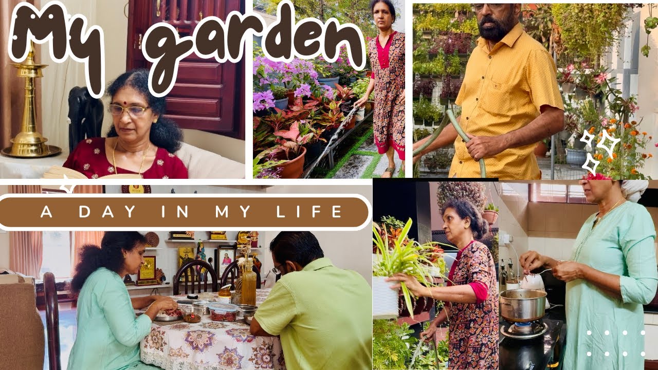പൂന്തോട്ടത്തിൽ നിന്നും ആരംഭിക്കുന്ന എന്റെ ഒരു ദിവസം |Anithasree #garden#dayinmylife 
