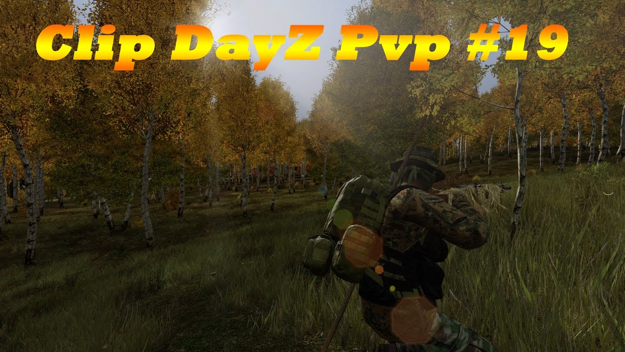 Clip DayZ Pvp #19  Loups,0.61,armes