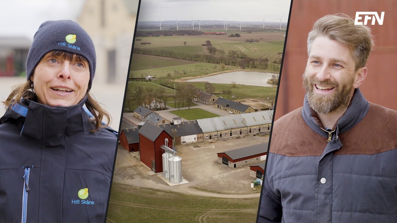 Kompetent arbetskraft växer inte på träd
