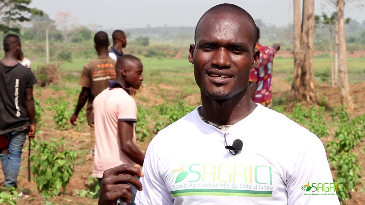 AGRICULTURE IVOIRE - PUBLIREPORTAGE # SAGRICI
