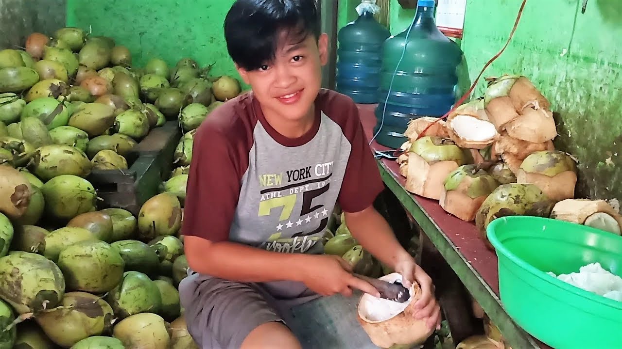 Berapa Keuntungan Per Hari Jualan Kelapa Muda Di Warakas Tanjung Priok Jakarta Utara