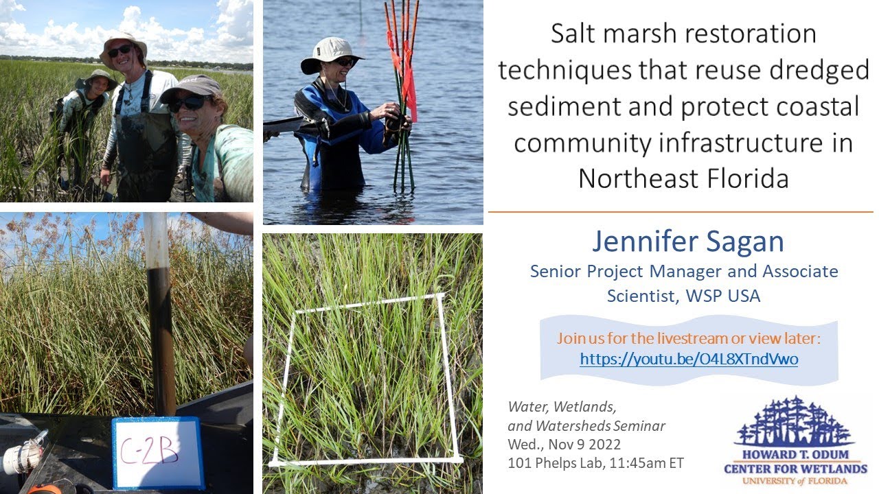 Salt marsh restoration techniques that reuse dredged sediment & protect coastal communities in NE FL