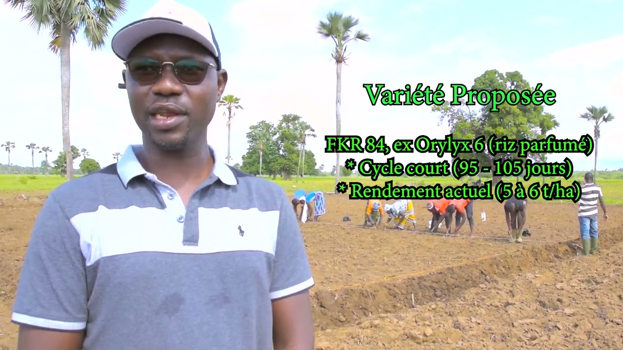 WAGRINOVA - Bonnes Pratiques Agricoles du riz de basfond au Burkina Faso - Partie 1