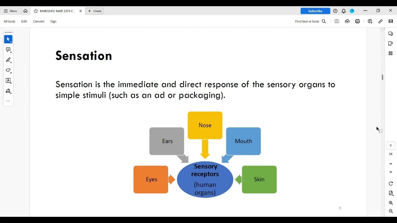 Lesson 5 - Consumer Perception prt 1