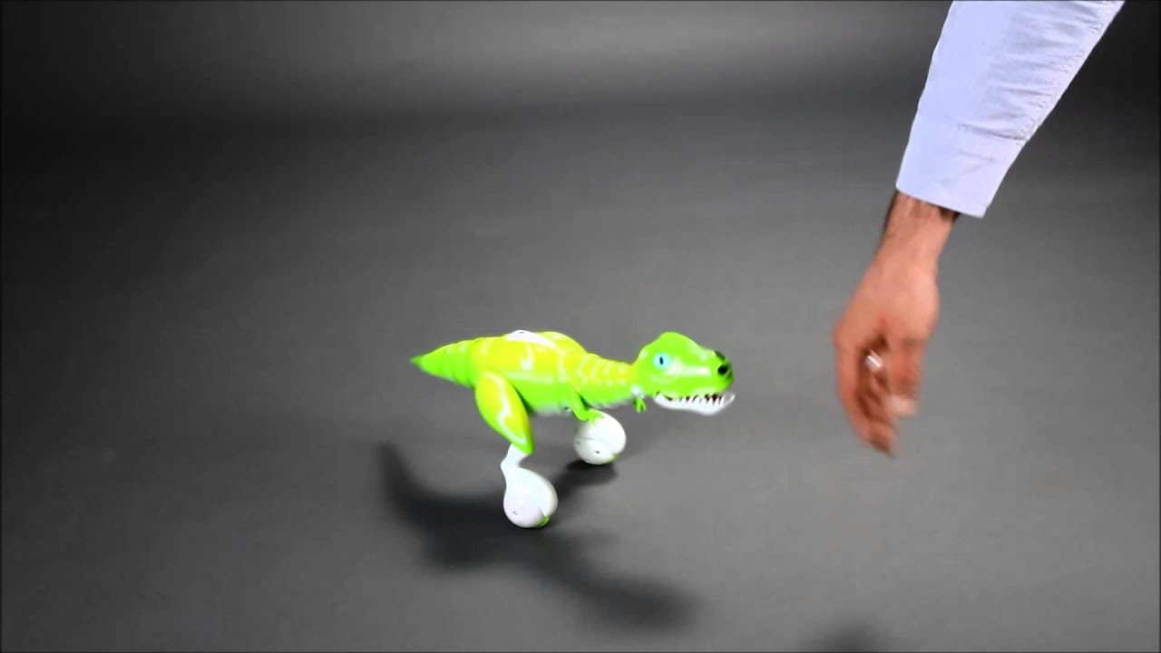 Zoomer Dino Boomer in Action by 4U Onlinehandel
