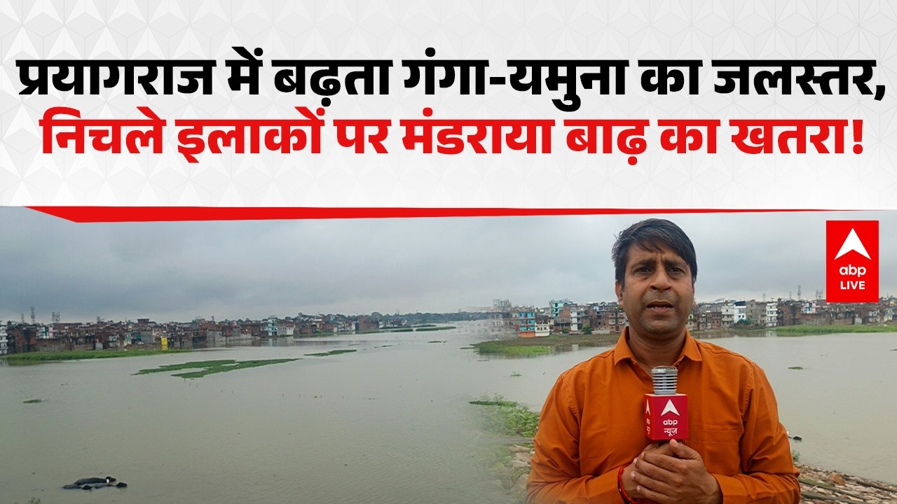 Prayagraj में बढ़ता Ganga-Yamuna का जलस्तर, निचले इलाकों पर मंडराया बाढ़ का खतरा! |ABPLIVE