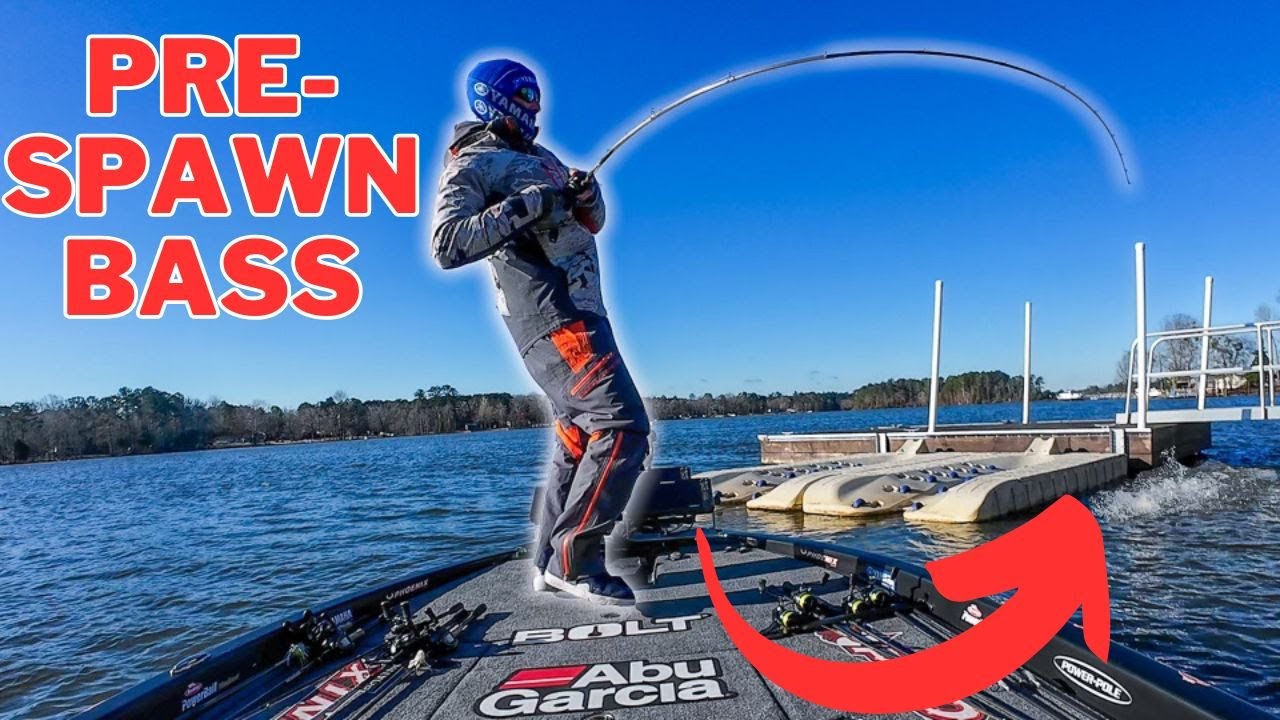 Catching Pre-Spawn Bass at Lake Murray! (Cranking + NEKO Rig)
