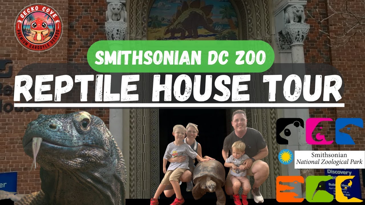 Reptile House Tour - Smithsonian National Zoo in Washington, D.C.