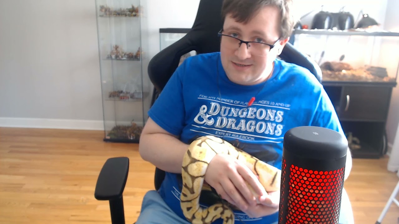 Snake ASMR - Showing off My Ball Python