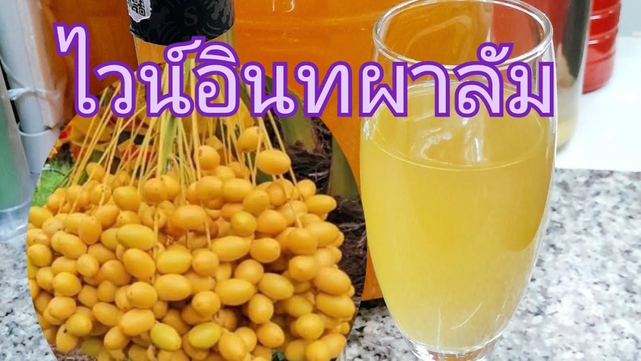 #ไวน์อินทผาลัมน้ำผึ้งมะนาวep.278