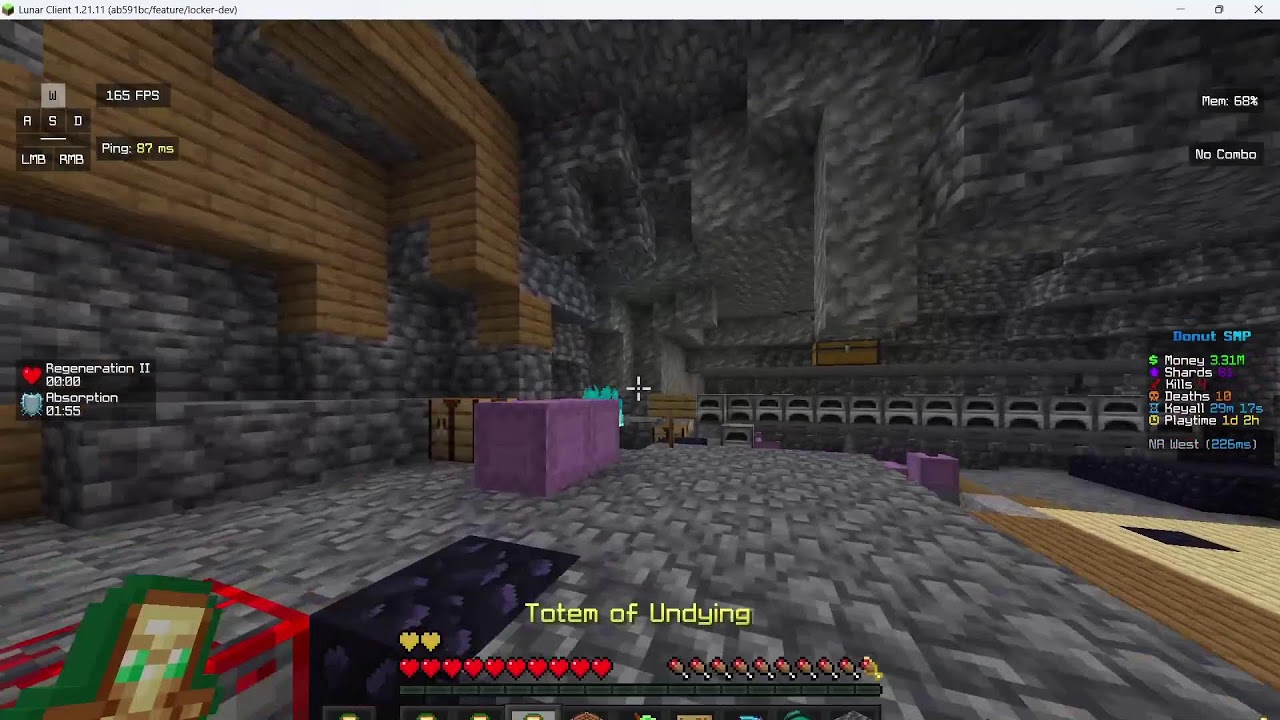 raing ur base on donut smp