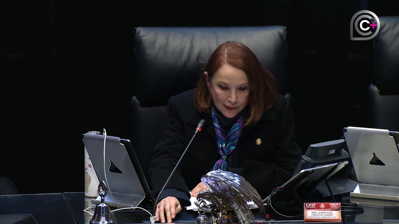 Sesión de la Cámara de Senadores, del 4 de febrero de 2026