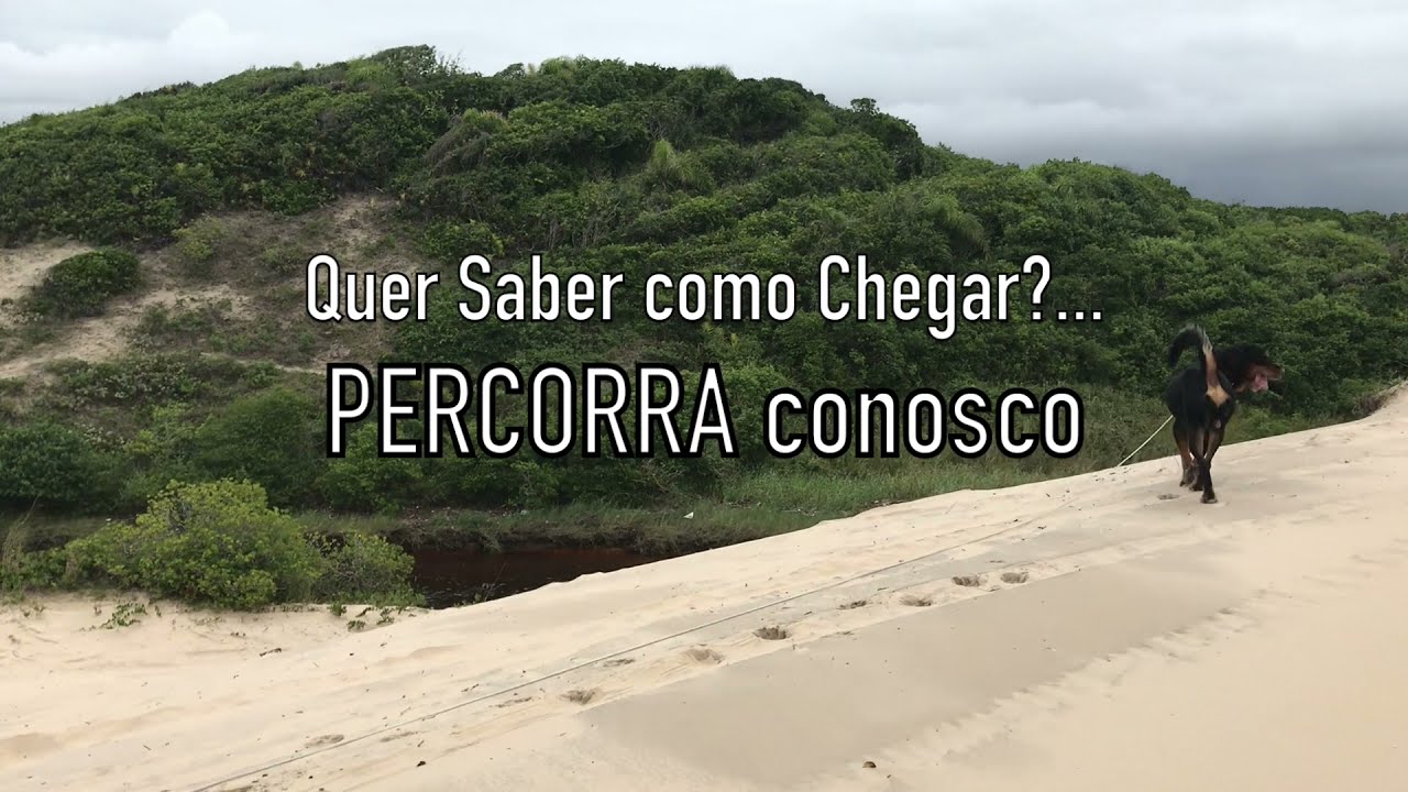 Dunas do Juruvauva (Ilha Comprida - SP) / BRASIL