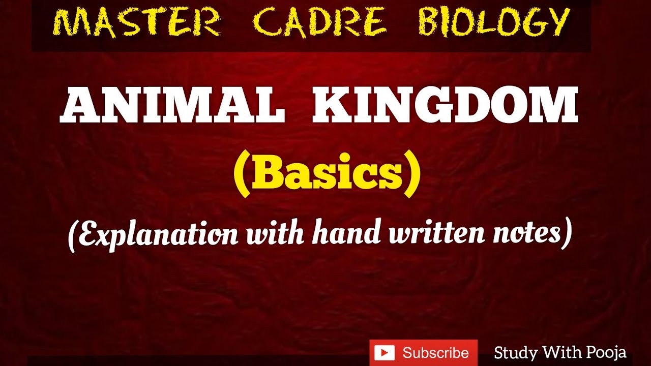 Animal kindom - Basics | Master cadre science preparation | Master cadre zoology