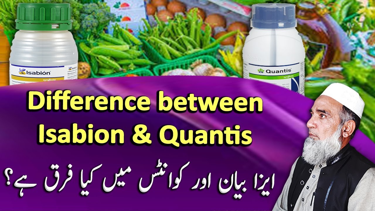 Difference between Isabion and Quantis amino acids | Crop Reformer