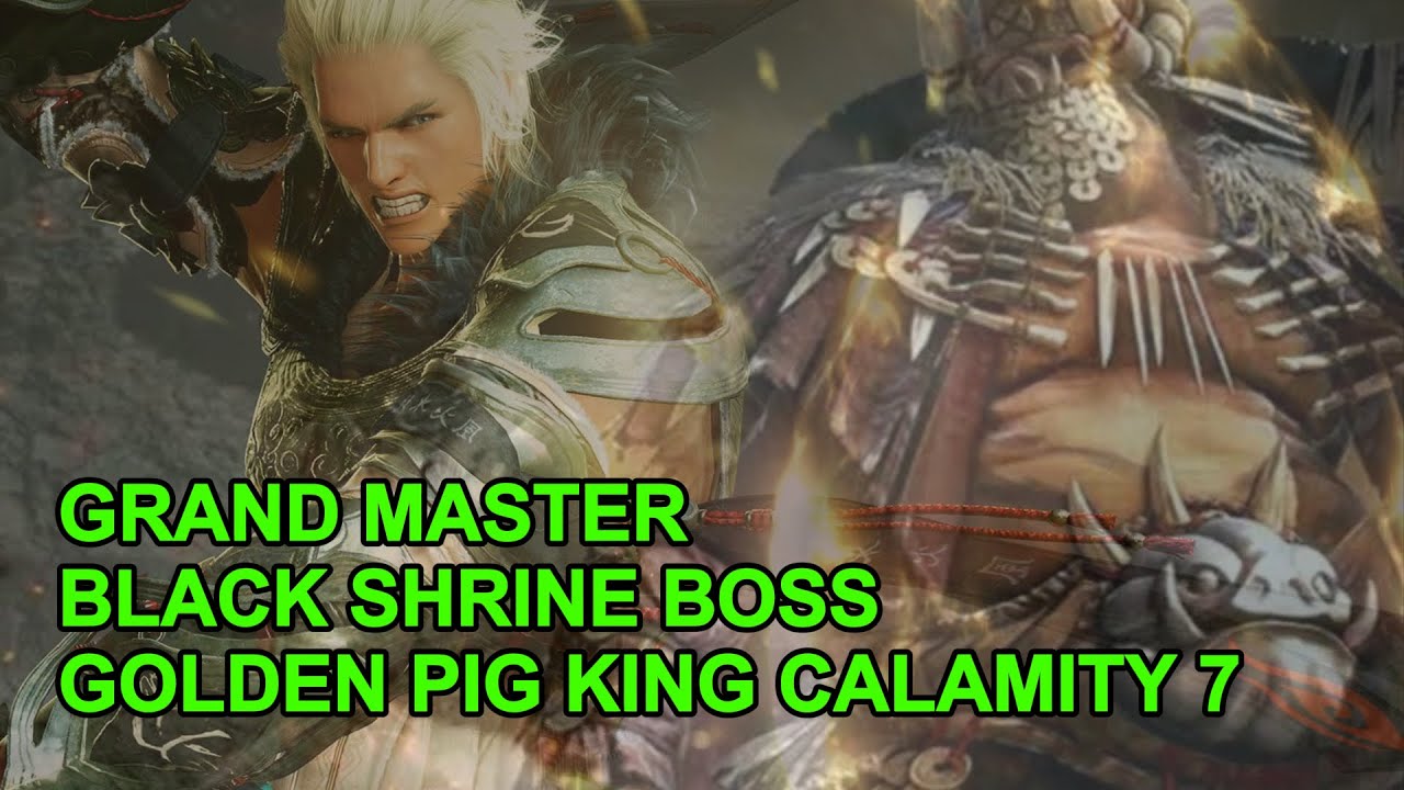 BDM Korea : Grand Master ( Golden Pig King Calamity 7 ) Sun Aura Weakened