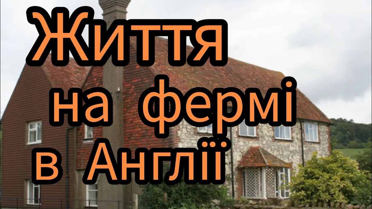 Як живуть та працюють на молочній фермі .