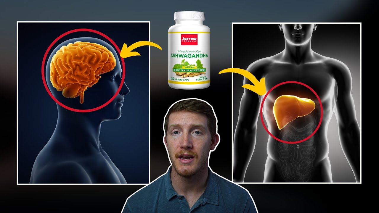 Ashwagandha | Side Effects To Be Concerned About