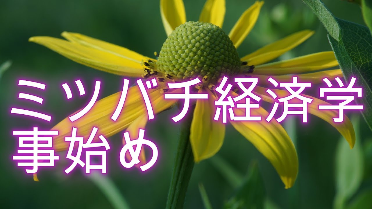ミツバチ経済学事始め---養蜂地代とは？／山崎亮一／2023年--東京農工大学生物生産学科--夏の勉強会